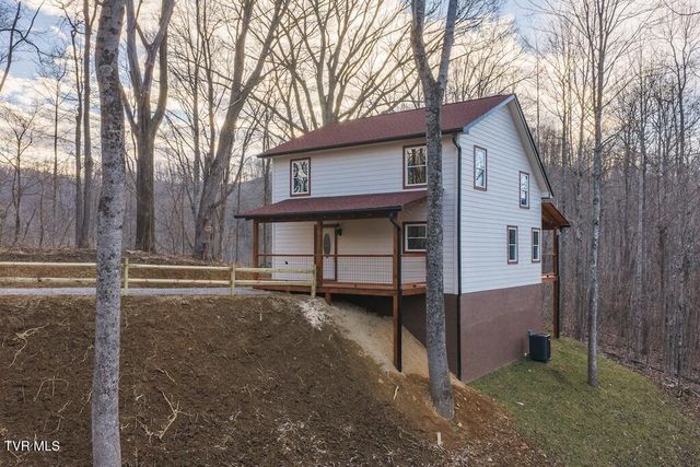 1135 Cherry Springs Lane, Trade, TN 37691