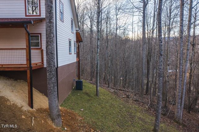 1135 Cherry Springs Lane, Trade, TN 37691