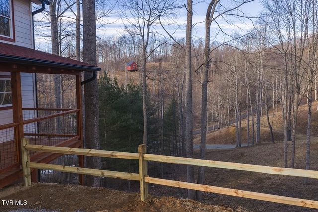 1135 Cherry Springs Lane, Trade, TN 37691