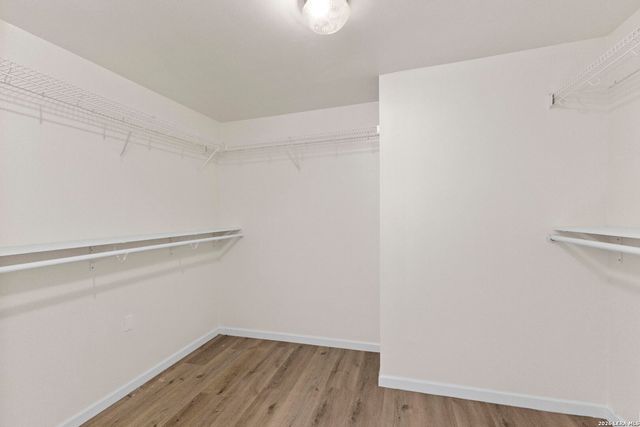 4039 Angel Trumpet, San Antonio, TX 78259