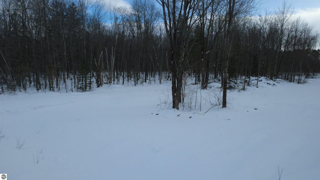 Image 10 of property listing at 1319 Laporte Road, Alger, MI 48610