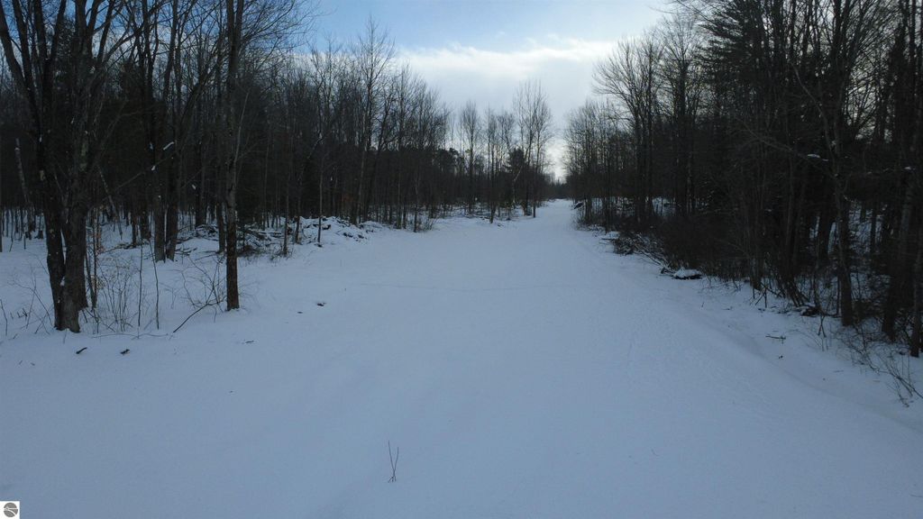 Image 11 of property listing at 1319 Laporte Road, Alger, MI 48610