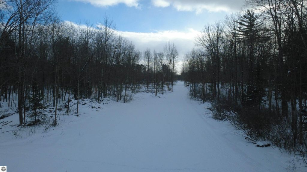 Image 5 of property listing at 1319 Laporte Road, Alger, MI 48610