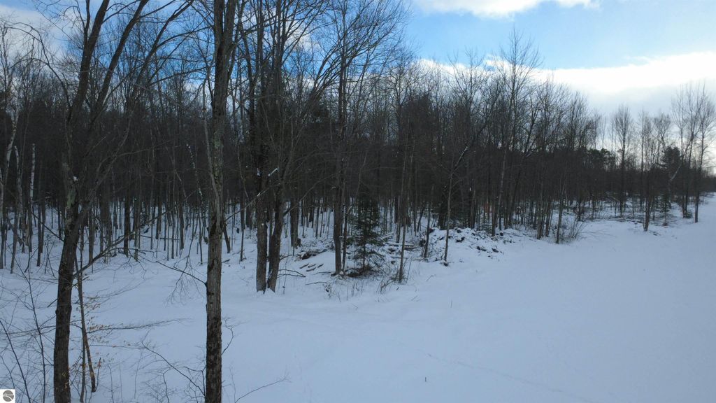 Image 6 of property listing at 1319 Laporte Road, Alger, MI 48610