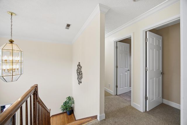 116 Drivers Lane, Cohutta, GA 30710