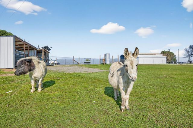 11490 N Arno Rd, Galt, CA 95632