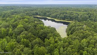 00 Tom Chance Road, Poplarville, MS 39470