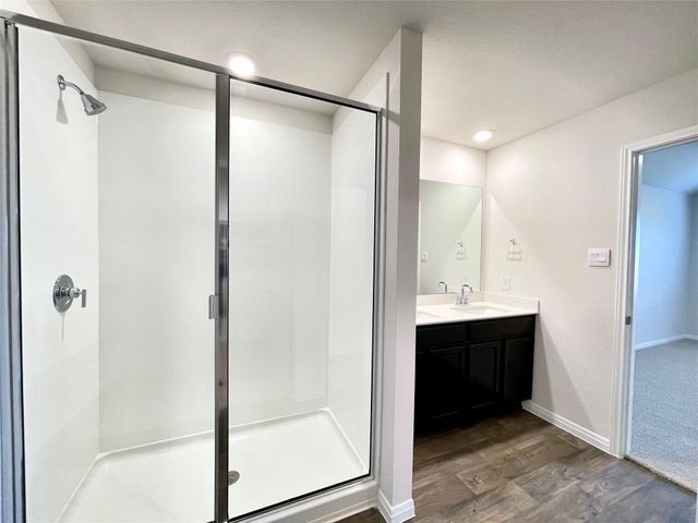 264 Texas Palmetto CIR, Kyle, TX 78640