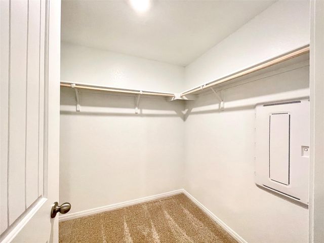 264 Texas Palmetto CIR, Kyle, TX 78640