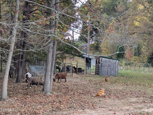 114 Greenland Park Road, Church Hill, TN 37642