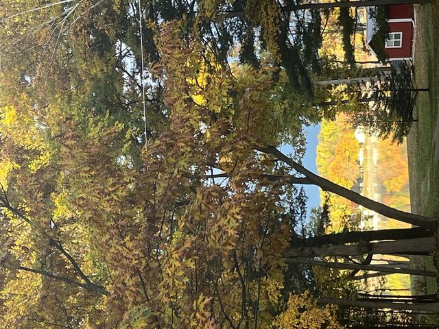 15808 Pretty Lake Drive, Mecosta, MI 49332