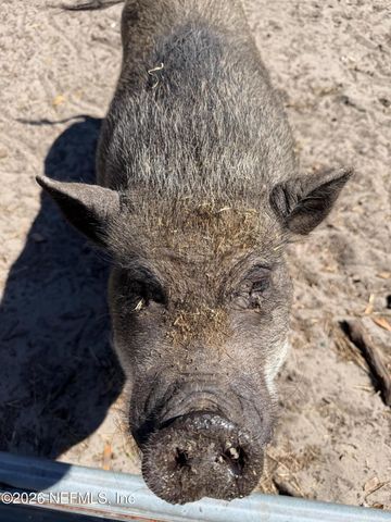 85276 HARTS Road, Yulee, FL 32097