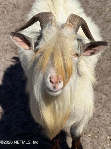 85276 HARTS Road, Yulee, FL 32097