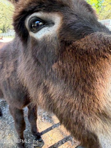 85276 HARTS Road, Yulee, FL 32097