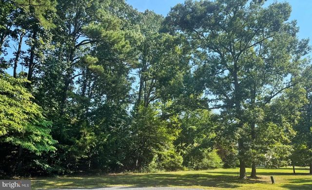 LOT 1981 SHIPS CT, Greenbackville, VA 23356