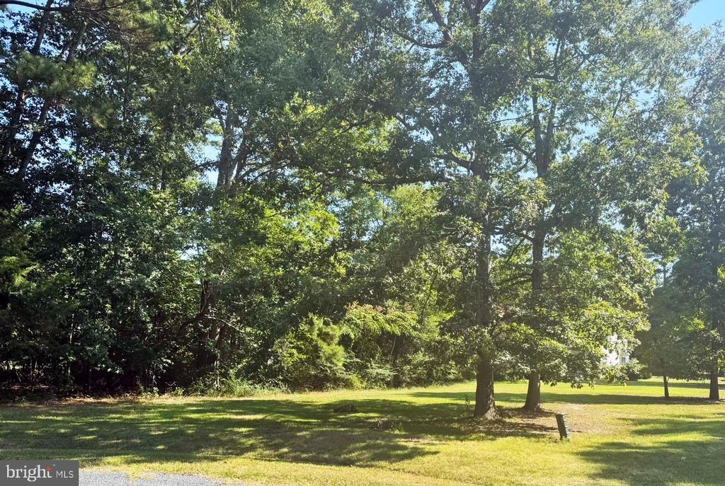 LOT 1981 SHIPS CT, Greenbackville, VA 23356