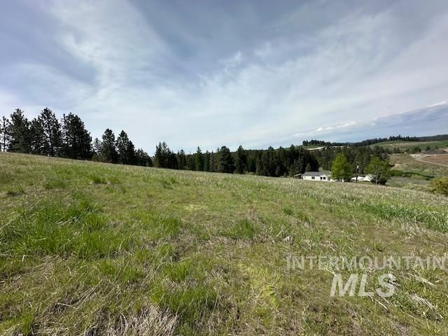 1043 Mckeehan Rd, Troy, ID 83871