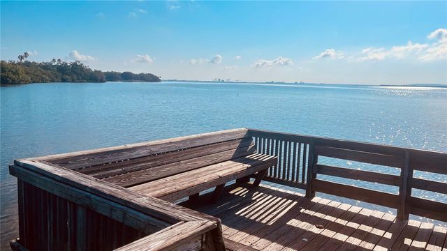 2915 POINTEVIEW, Tampa, FL 33611