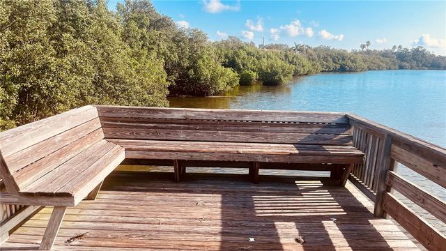 2915 POINTEVIEW, Tampa, FL 33611