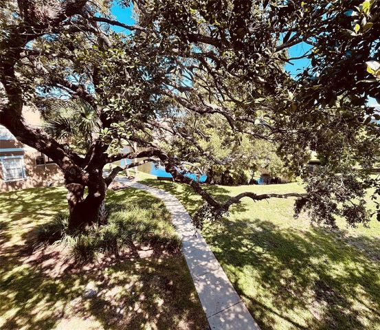 2915 POINTEVIEW, Tampa, FL 33611