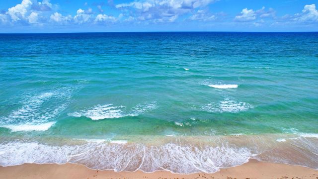 3546 S Ocean Boulevard 503, South Palm Beach, FL 33480