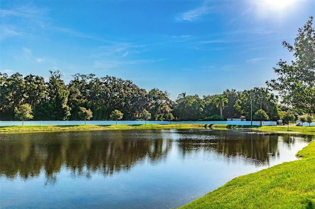 9540 TOCOBAGA PLACE, Riverview, FL 33578