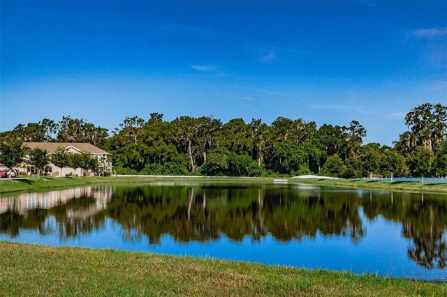9540 TOCOBAGA PLACE, Riverview, FL 33578
