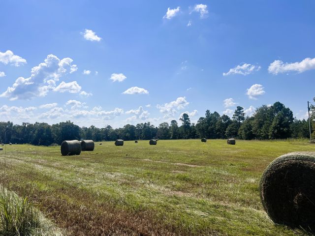 4914 Hwy 13, Lumberton, MS 39455