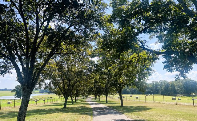 4914 Hwy 13, Lumberton, MS 39455