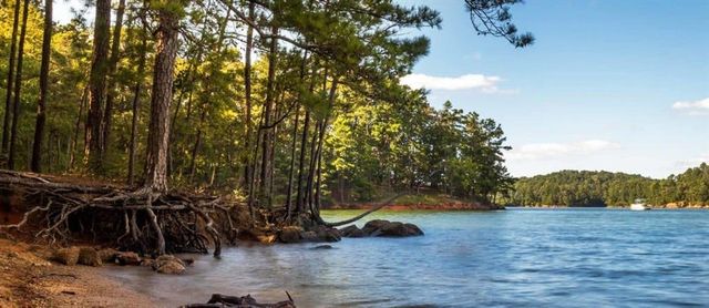 10 Altar Rock Court NE, Cartersville, GA 30121