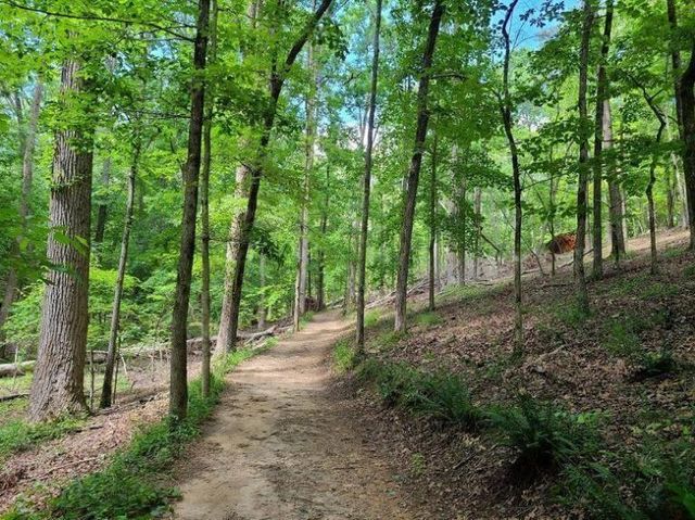 10 Altar Rock Court NE, Cartersville, GA 30121