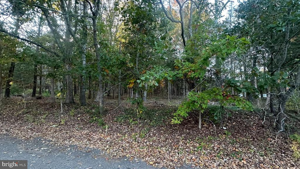 1076 S MAIN ST, West Creek, NJ 08092