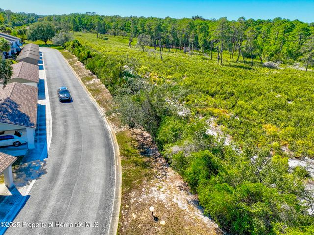 6502 River Run Boulevard, Weeki Wachee, FL 34607