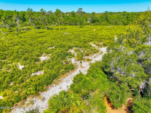 6502 River Run Boulevard, Weeki Wachee, FL 34607