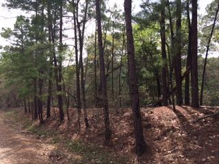 152 Molokini DR, Bastrop, TX 78602