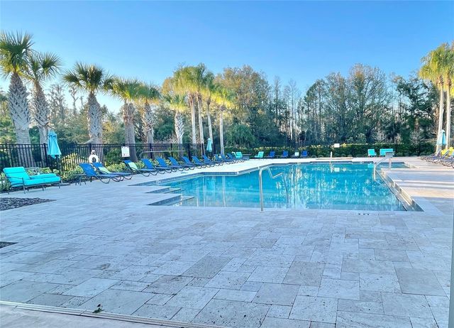 28536 TRANQUIL LAKE CIRCLE, Wesley Chapel, FL 33543