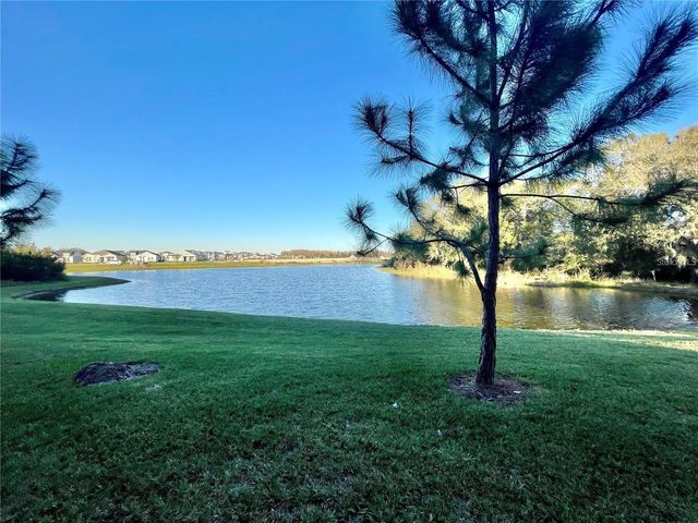 28536 TRANQUIL LAKE CIRCLE, Wesley Chapel, FL 33543
