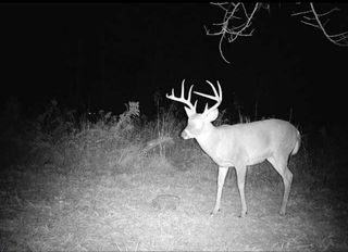 1407 Denton Phelps Road, Somerset, KY 42501