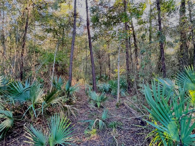 11902 Sunshine Drive, Beaumont, TX 77705