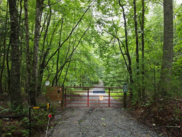 214 Sourwood Drive, Blue Ridge, GA 30513