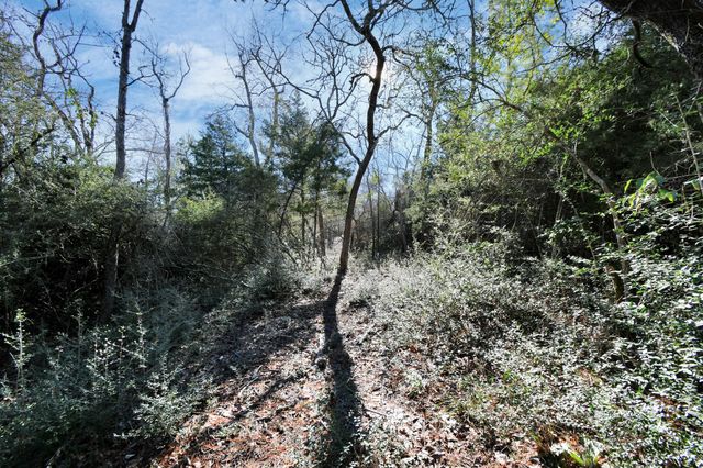 896 Pr 1318, Centerville, TX 75833