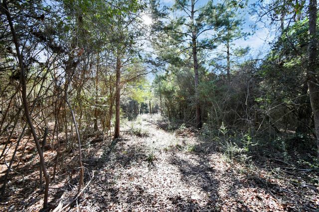 896 Pr 1318, Centerville, TX 75833