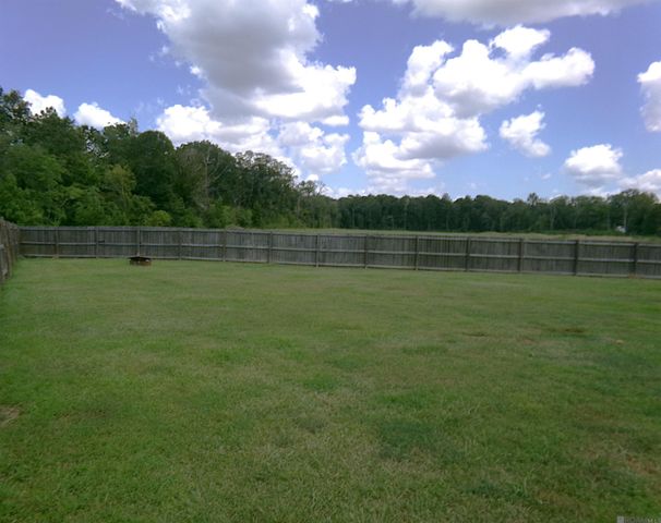 23091 Antler Lake Dr, Denham Springs, LA 70726
