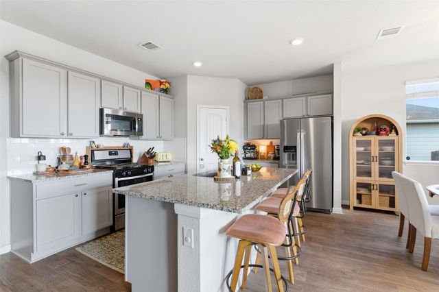 220 Apache Plum DR, Kyle, TX 78640