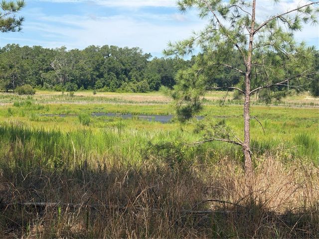 TBD GUAVA TERRACE, Ocklawaha, FL 32179