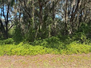 TBD GUAVA TERRACE, Ocklawaha, FL 32179