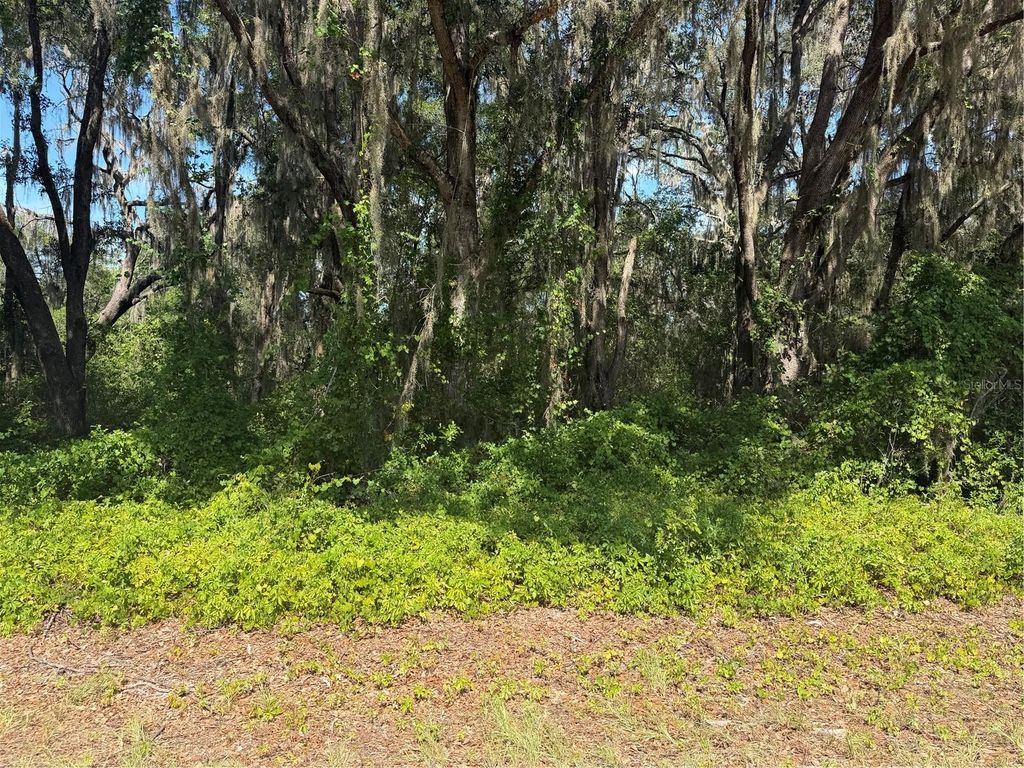 TBD GUAVA TERRACE, Ocklawaha, FL 32179