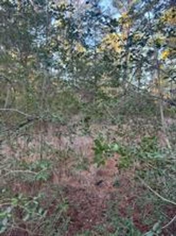 107 Lake Point WAY, Bastrop, TX 78602