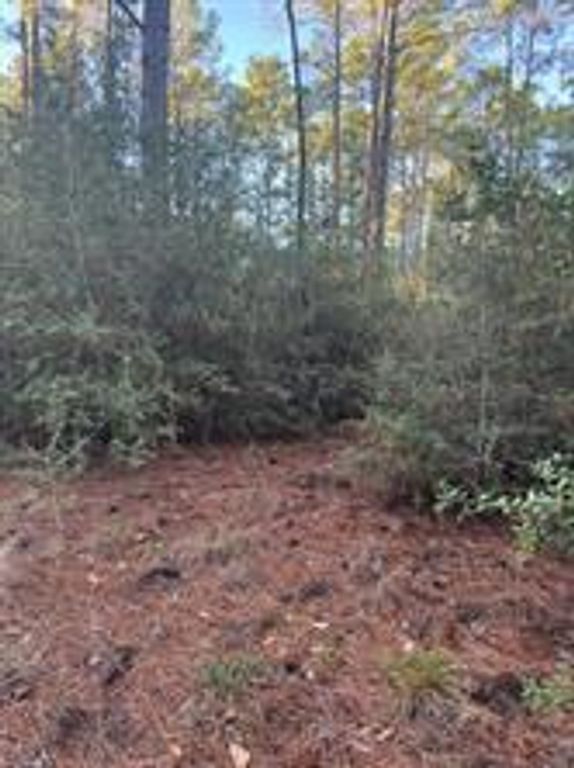 107 Lake Point WAY, Bastrop, TX 78602