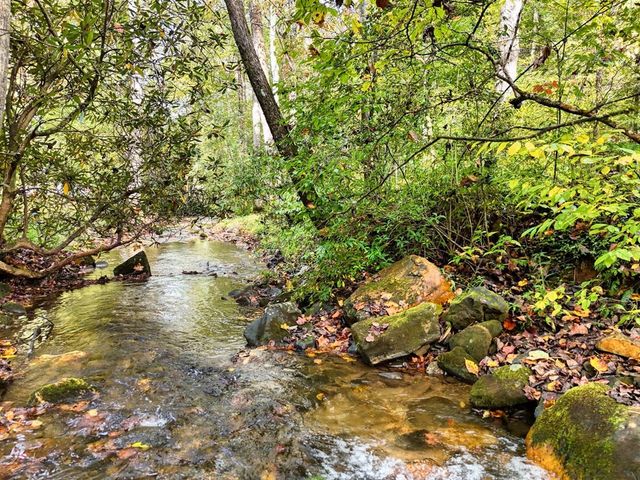 2515 Road 9999, Hiawassee, GA 30546